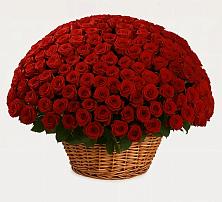 Премиум букет из: Розы в Нефедьево